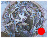 Blue Crabs - Original pastel painting by Eric Soller