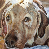 Callie - Original oil painting by Eric Soller