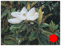 Magnolia - Original pastel painting by Eric Soller