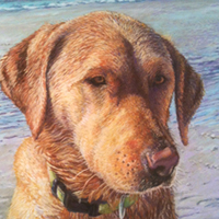 Chloe - Original pastel painting by Eric Soller