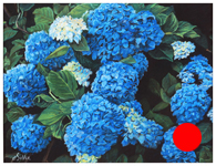 Hydrangea - Original pastel painting by Eric Soller
