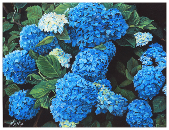 Hydrangea, Original pastel painting by the fine artist Eric Soller