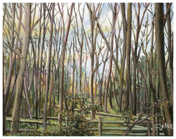 Sunrise through the Trees, Original pastel painting by the fine artist Eric Soller