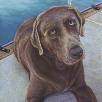Trooper - Original pastel painting by Eric Soller